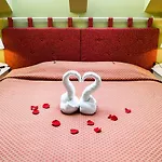 Otel Metsis *