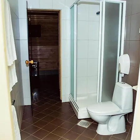 Hotel Metsis *