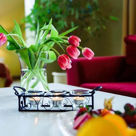 Metsis Hotel *