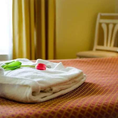Metsis Hotel *