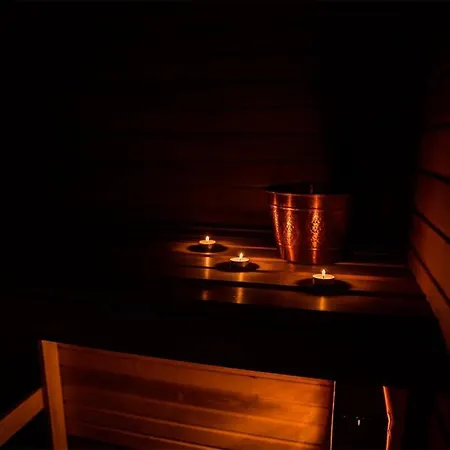 Hotel Metsis *